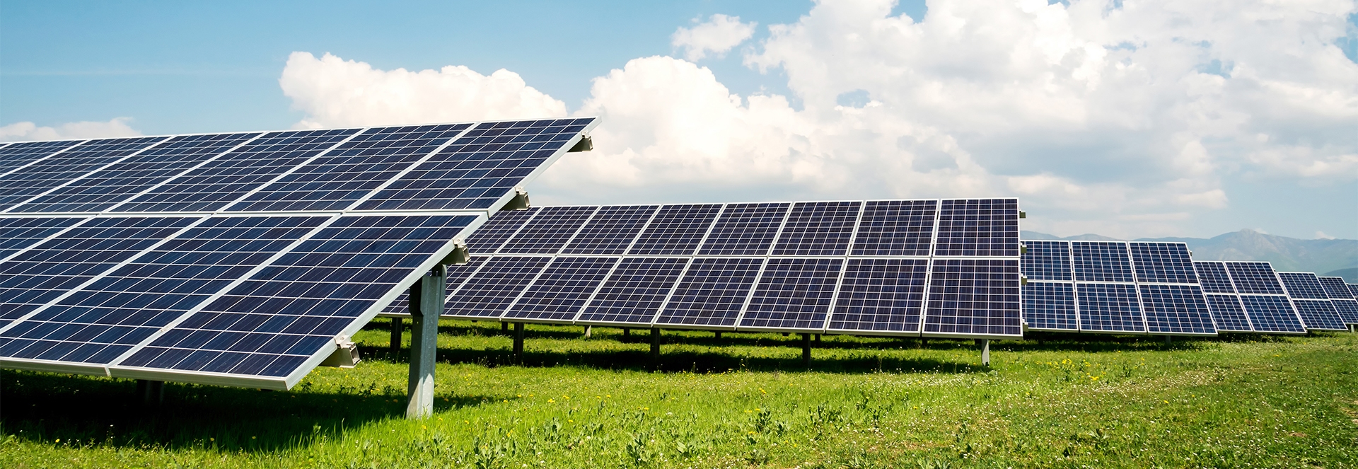 Renewable Generations